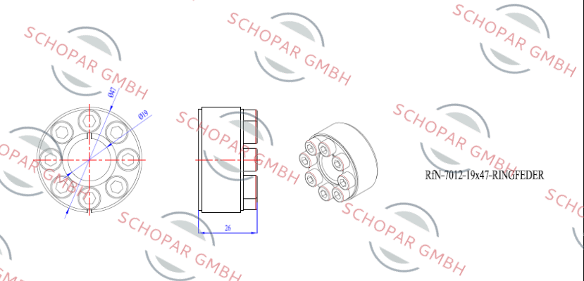 Ringfeder-RfN7012 19X47  price