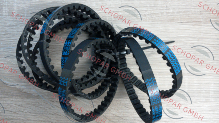 Megadyne-288 RPP8 price