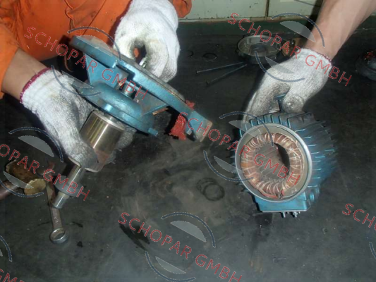 Alpha Pompe-Type CS-16-T, 0,75 kW, 2800 RPM, 440V, 60Hz  price