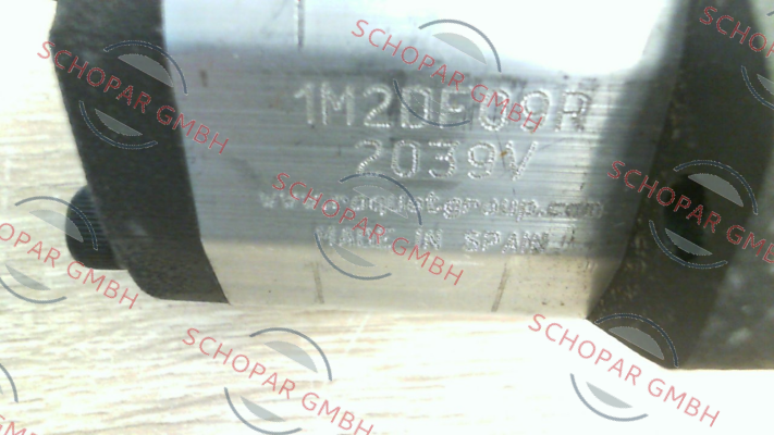 Roquet pump-1M-2DF09R price