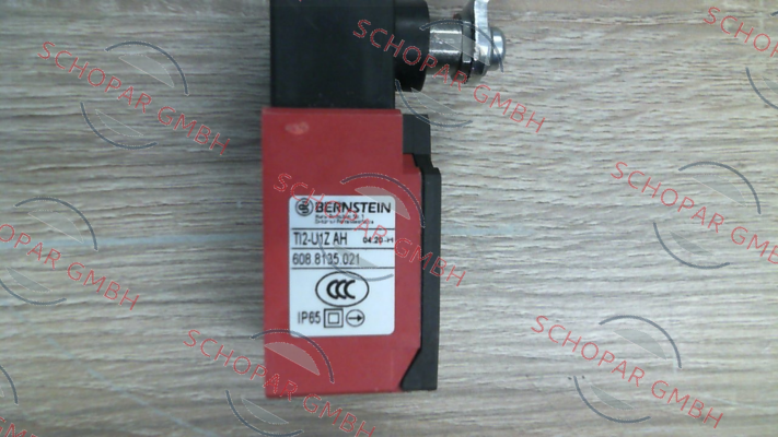 Bernstein-P/N: 6088135021, Type: TI2-U1Z AH price