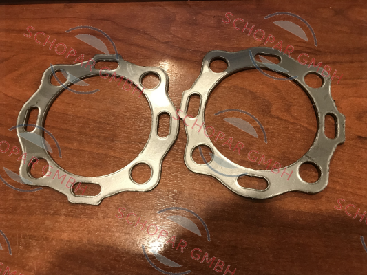Ayvaz-flange gasket for SBUE208018 DN15 SK51 price