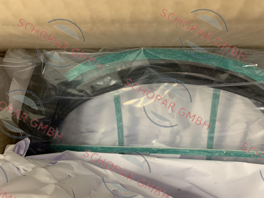Flovex-seal kits for BEW/FE 1310-25-4 price