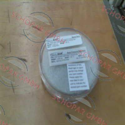 Equilibar-RBK-H3P1SNN8-NSBP3000T150G22VVB price