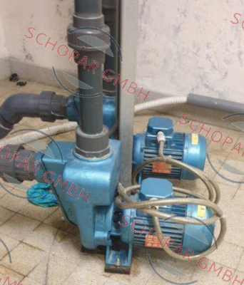 Alpha Pompe-02 RAT price