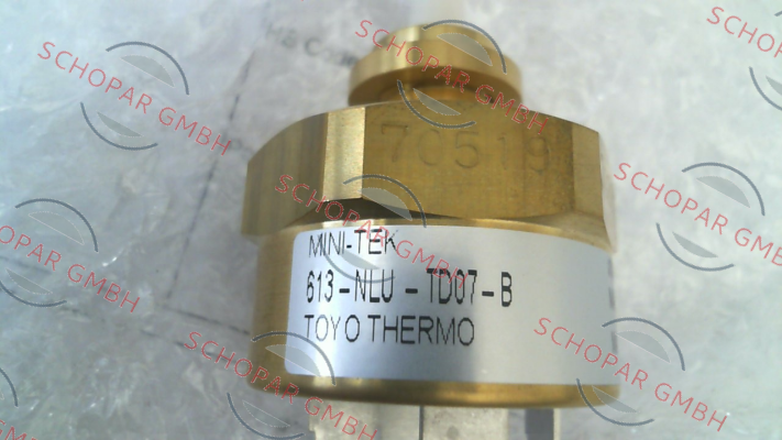 Robertshaw-MODEL 613-NLU-TD07-B price