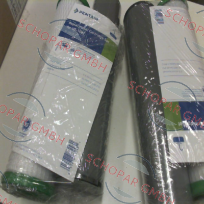 Pentek (Pentair)-P-250 / 155832-44 price