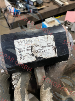 Trutorq-TS003A0M price