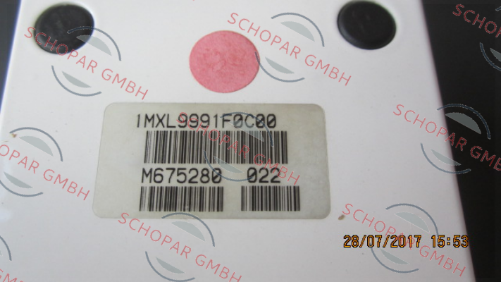 Mingardi-MICRO XL price