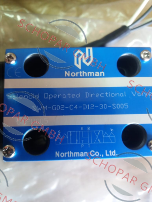 Northman-SWM-G02-C4-D12-30-S005 price