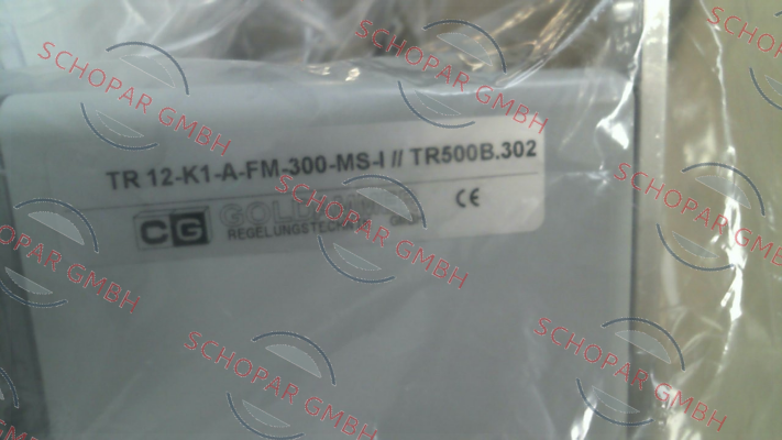Goldammer-TR12-K1-A-FM-300-MS-I price