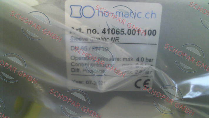 Ho-Matic AG-41065.001.100 (QSV65 F) price