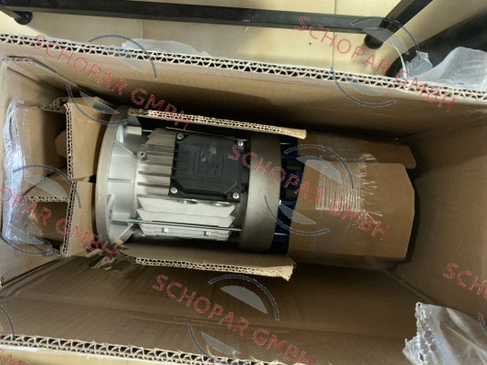 M.G.M MOTORI-BAX80B4 price