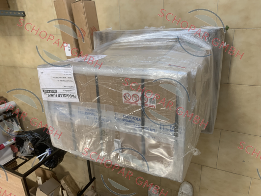 Faggiolati-7801/  Type: GM19B409T1-4T6KA0 price