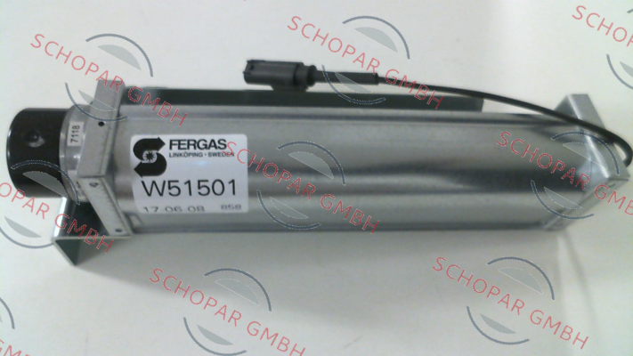 Fergas-W51501 - NCB 30x200 L DC 48V K3008 price