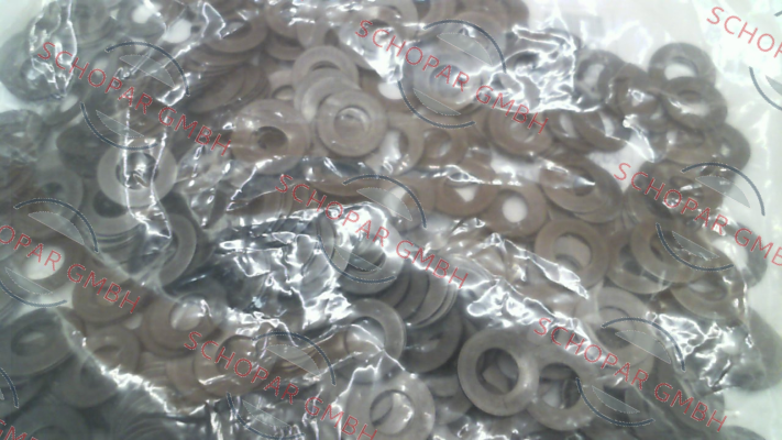 Schnorr-006 400 price