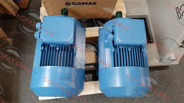 Gamak-AGM3EL 132 M 2b price