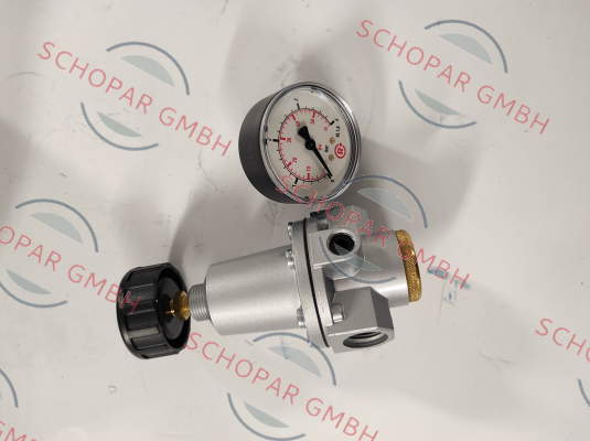 Riegler-100813 / 637.35 A price