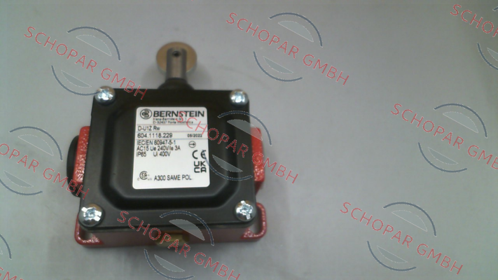Bernstein-6041118229 / D-U1Z RW price