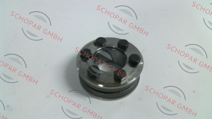 Ringfeder-RFN4061 24X50 price