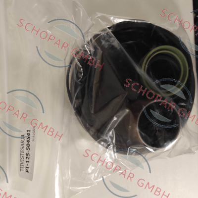 Pimatic-sealing set for PT-125-504541 price