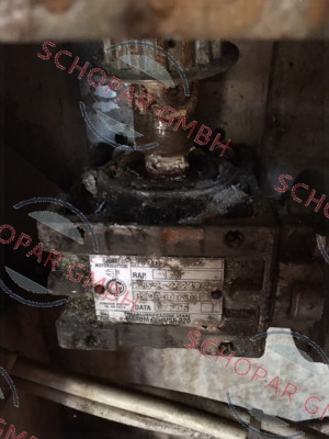 Ghirri-MV 30 RAP: 1/5 PAM 56 B14 price