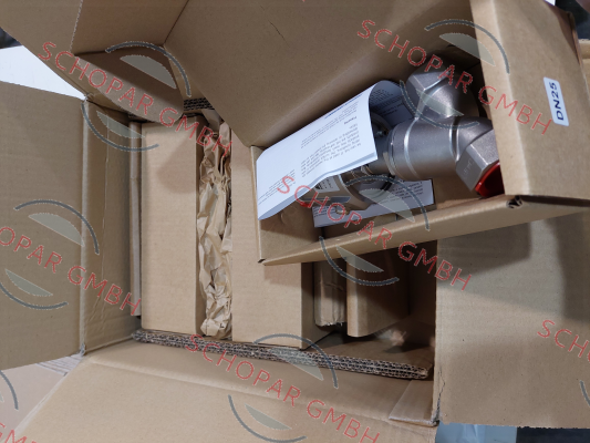 Evian-2100 62 060 PN25 PG price