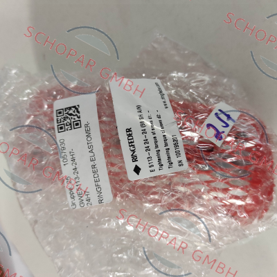 Ringfeder-GWE 5113-24-24-24-98 SHA price