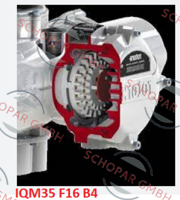 Rotork-IQM35 F16 B4  price
