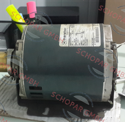 Marathon (Regal)-E13J240002  price