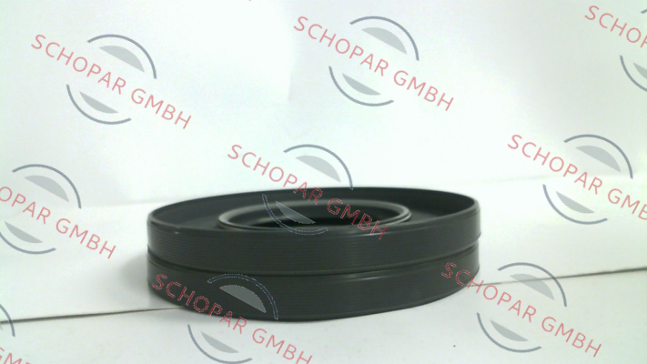 Nord-WDR 70x125x12 AS NBR902 price