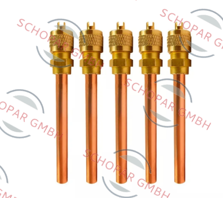 Schrader-1/4" price
