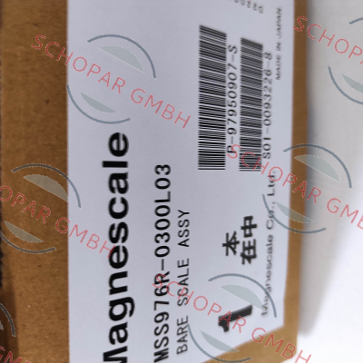 Magnescale-MSS976R-300MM (30-300-30) price