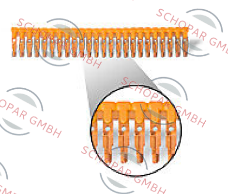 Automation Direct-DN-24J2Y price