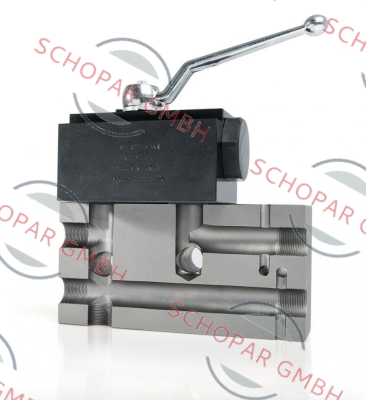 Rotelmann-100078 price