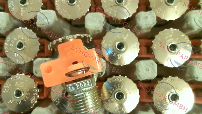 Tyco Fire-775701155 price