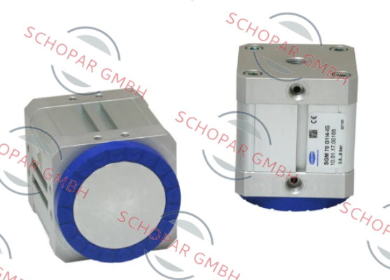 Schmalz-10.01.17.00165 price