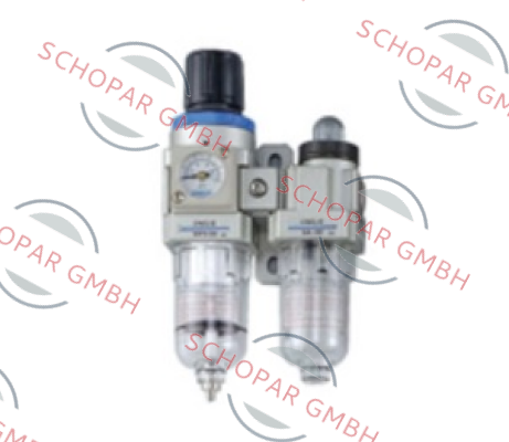 Chelic-NFLD300-02-LG-A-PR10 price