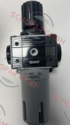 Aignep-T030307241000 price
