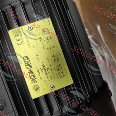 Sacemi-SQ80A price