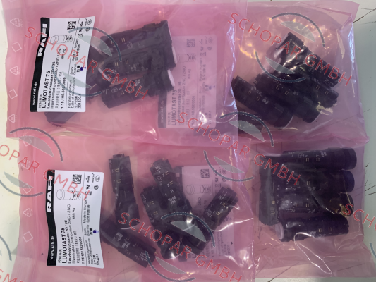 Rafi-1.15.108.552/0000 price