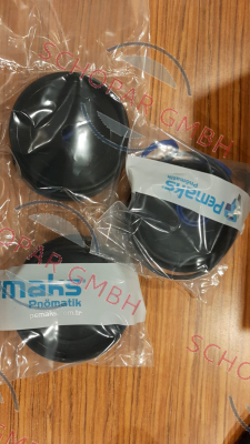 Pemaks-Y-69-088 price