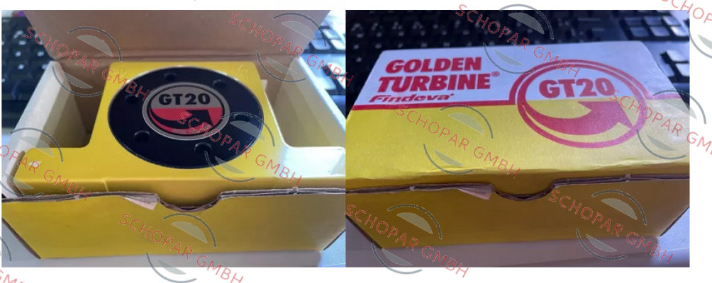 FINDEVA-GT-20 price