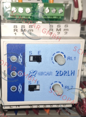 GICAR-9.1.81.19G03, Type 2DRLH E/S price