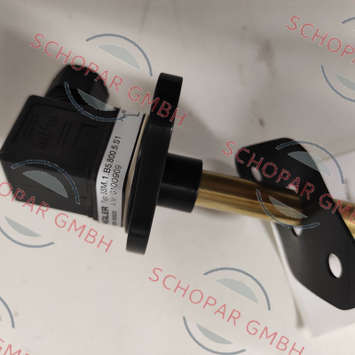 Engler-G100909 / SSM.1.B5.800.5.S1 price