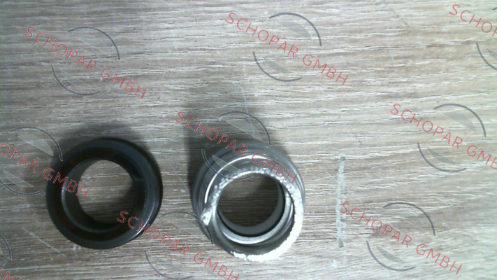 Calpeda-Mechanical seal for NM25/160AE-60  2013408020 price