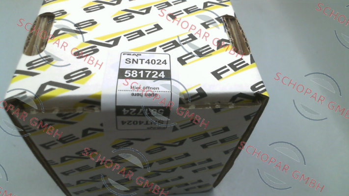 Feas-581724 / SNT4024 price