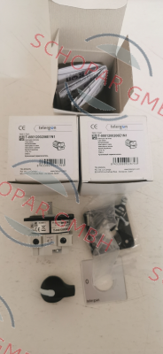 Telergon-T-0001200206E1N1 price