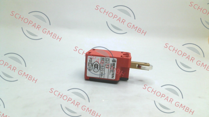 Bernstein-6008116013 / C2-U1Z R price