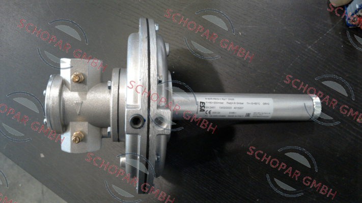 ESA Pyronics International-80590 / 8BZR-REG-II Rp1" price